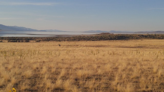 Antelope Island. Get it? (But really, this is Antelope Island)