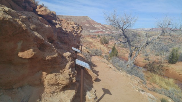 Biking Moab Dinosaur Trail