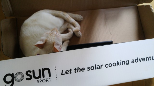 GoSun Solar Cooker Mel Fit RV Cat Apple Healthy Crisp Recipe