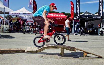 Come Hang With Us at Sea Otter in Monterey!