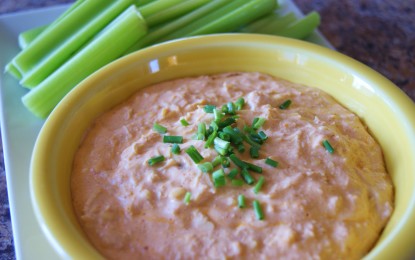 Buffalo Chicken Dip Recipe & Musings From A Cooped Up RVer