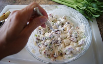 Healthy RV Lunch: Orchard Chicken Salad Recipe & The Microsopic RV Fridge