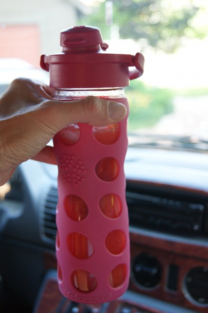 Fresh Fruit and Herb Flavored Water Bottle Recipe