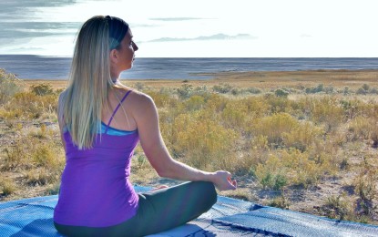 Mindfulness Meditation in the RV
