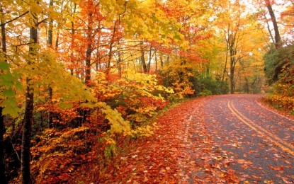 Welcome Fall: A Change of Seasons. A Fresh Start.