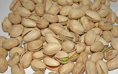 Pistachios – The Neglected Nut That Packs a Powerful Health Punch
